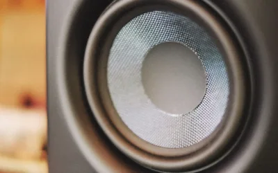 Black speaker cone and rubber surround up close