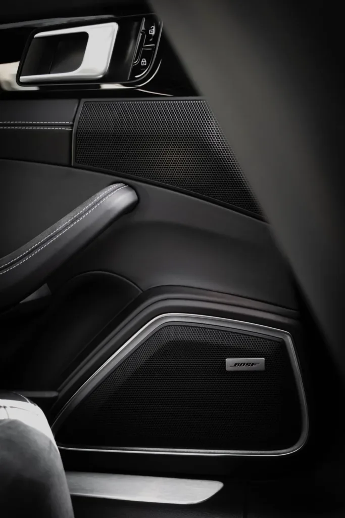Door speaker grille set into a modern car door panel