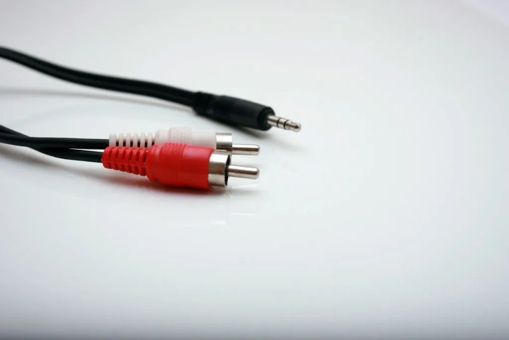 Red and white RCA plugs for low-level DSP inputs